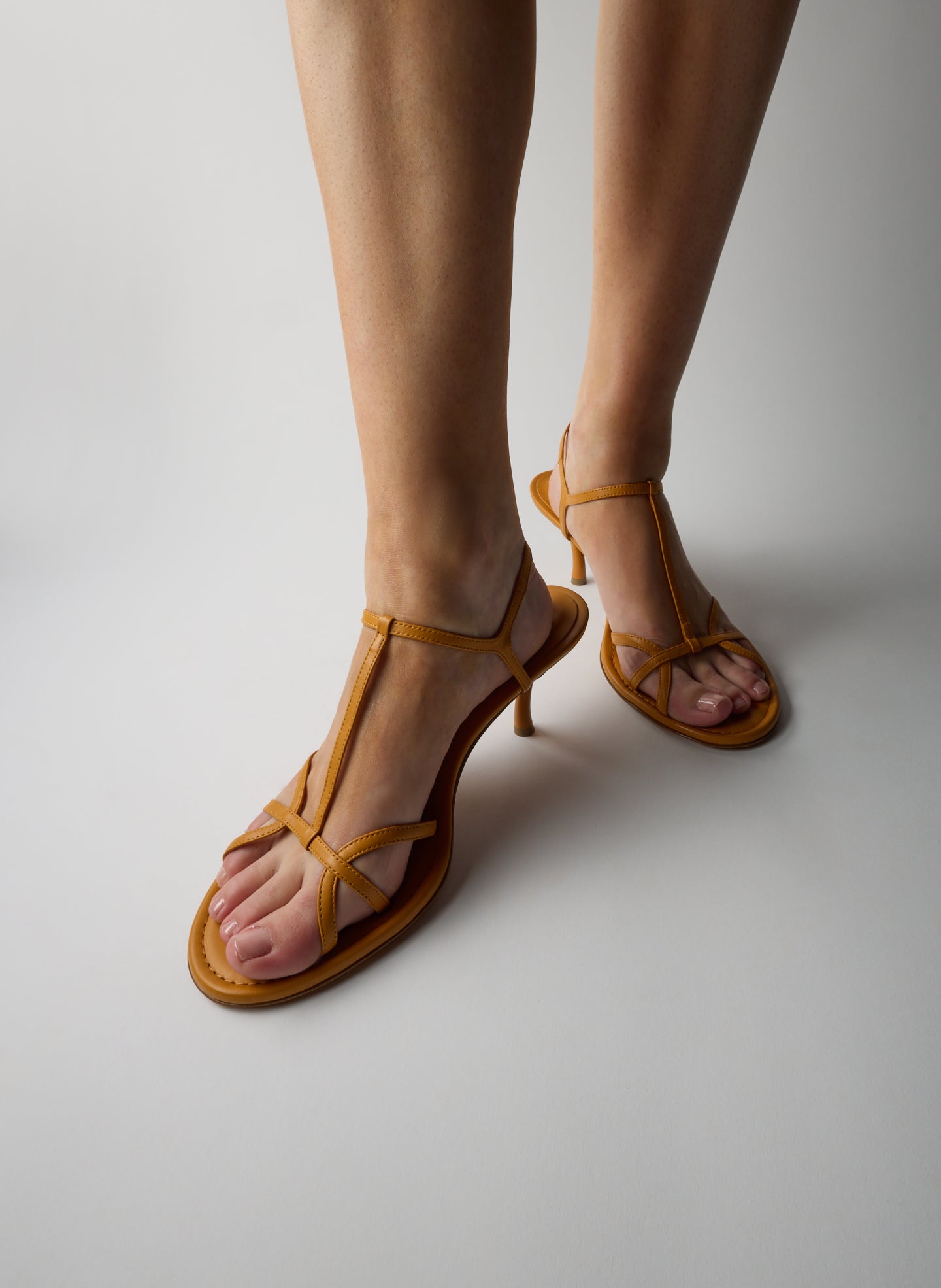 BRIGHT OCHRE-2