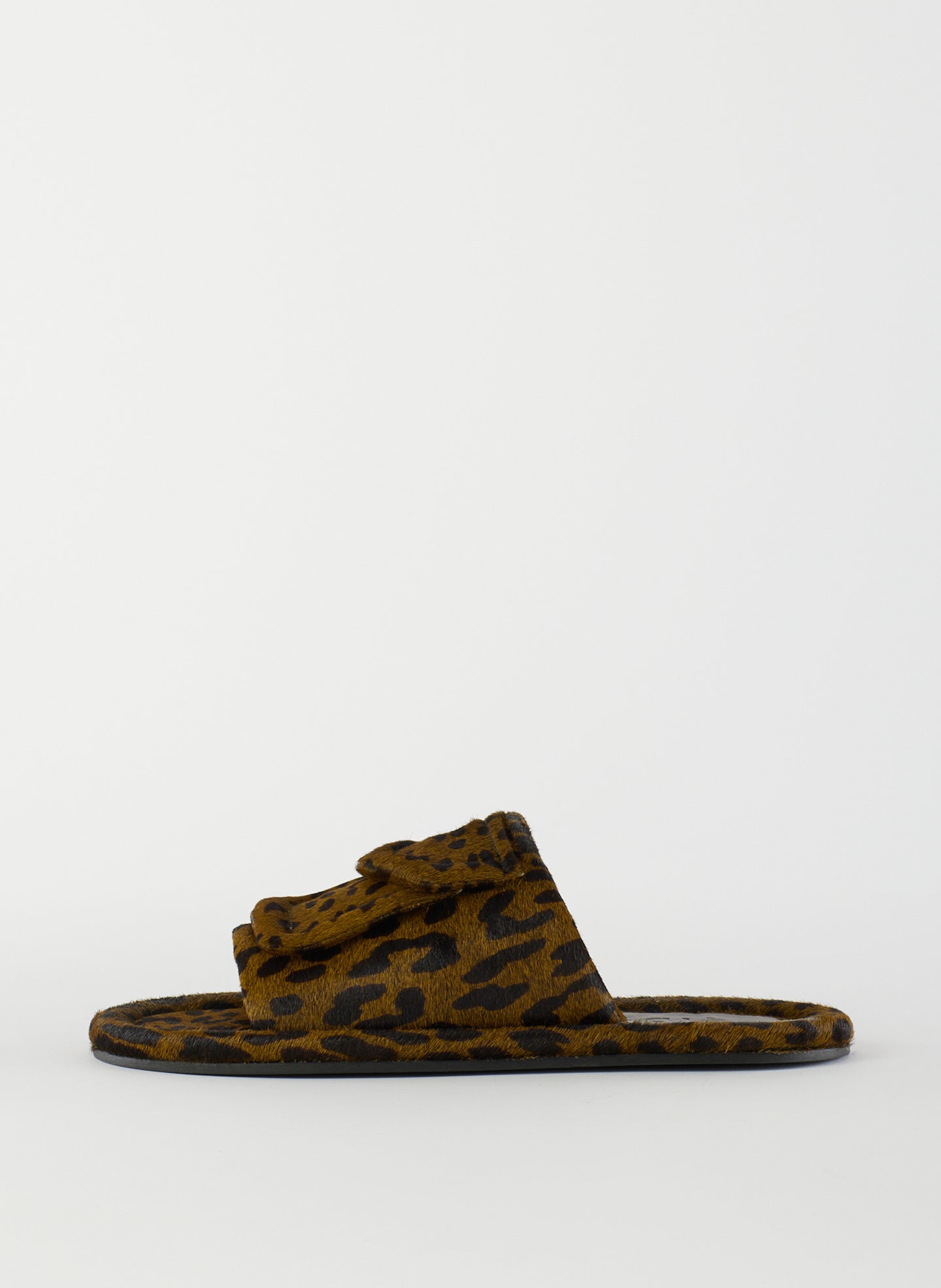 Olive Green-1