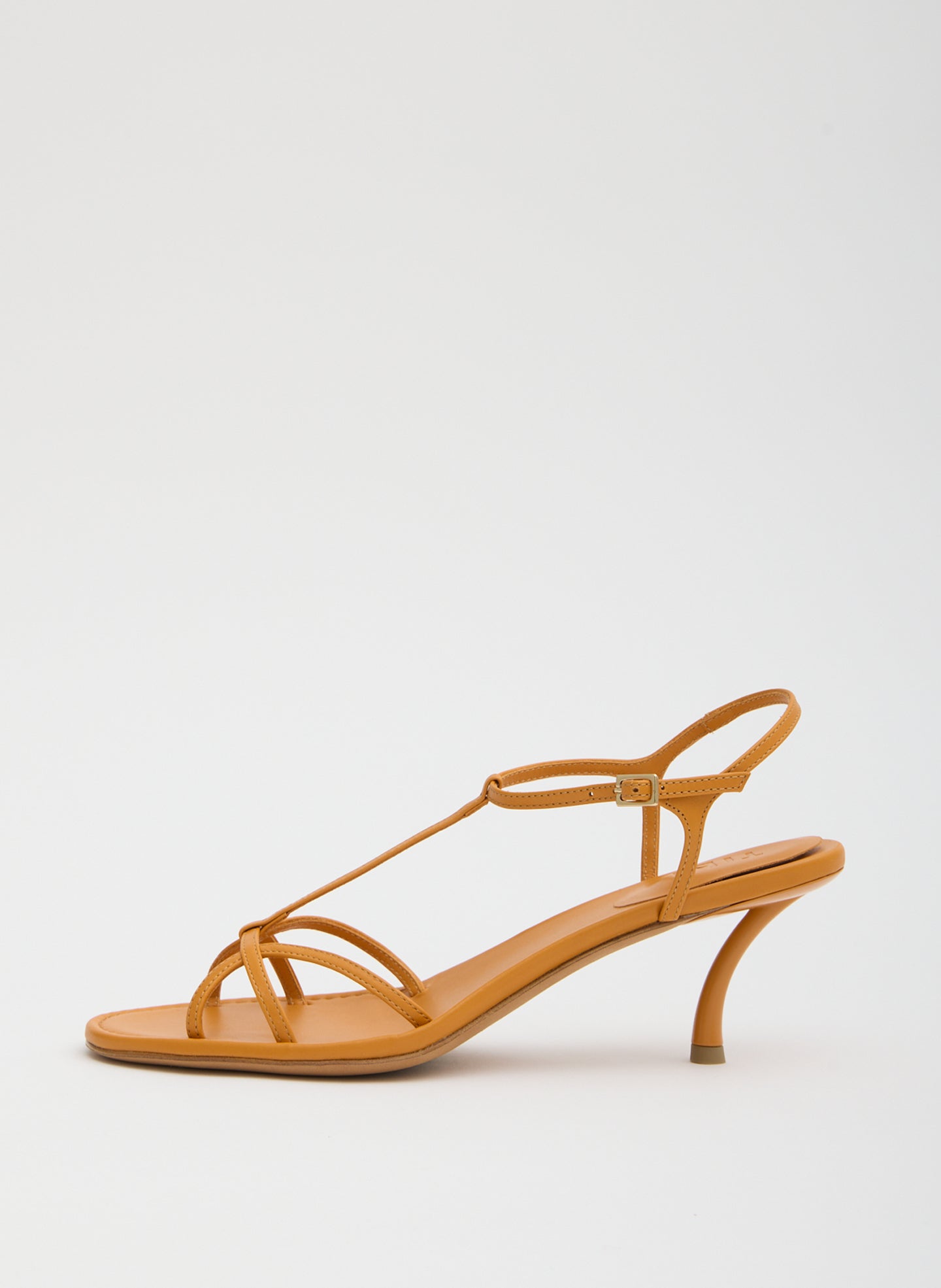 BRIGHT OCHRE-1