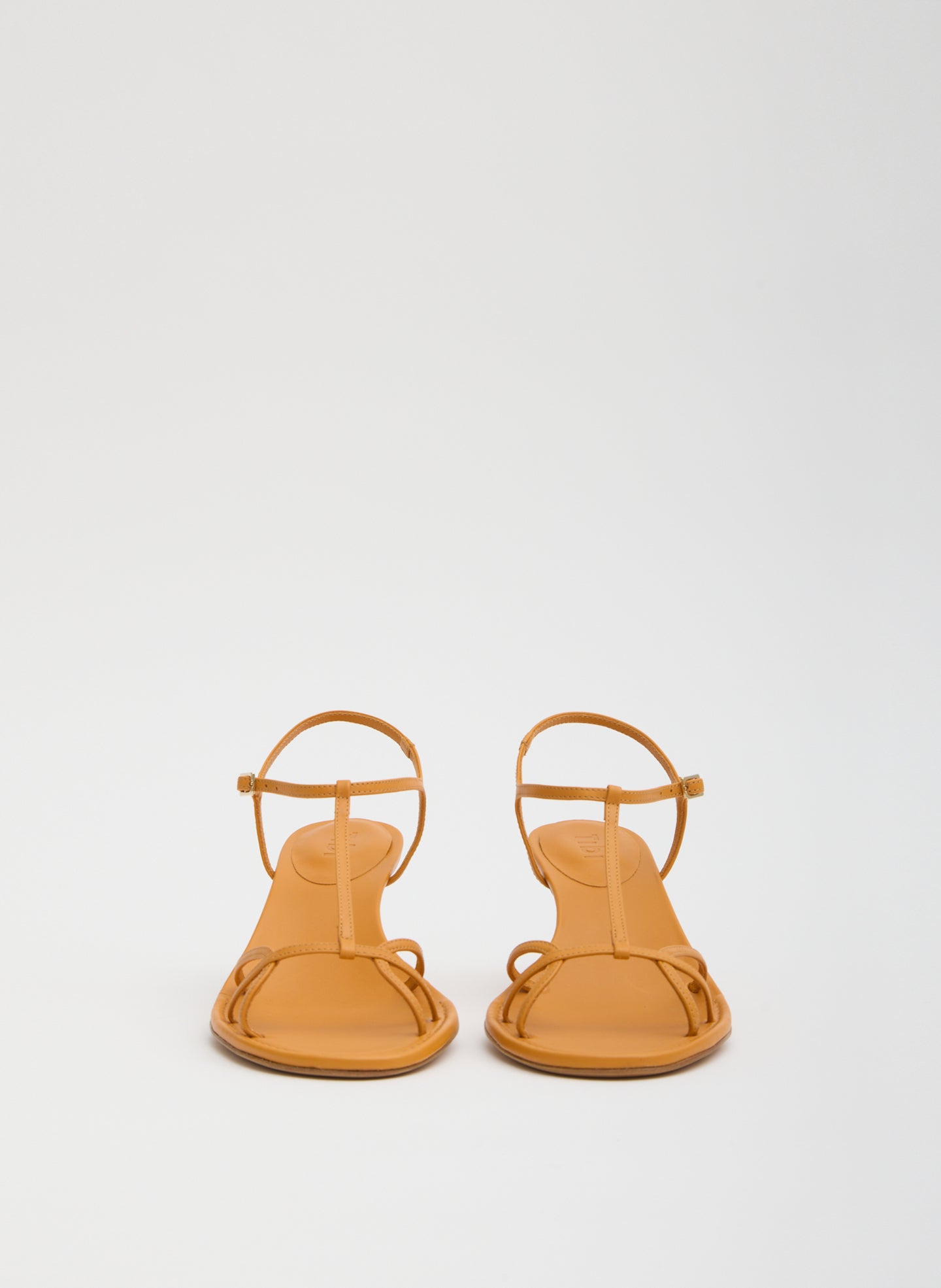 BRIGHT OCHRE-2