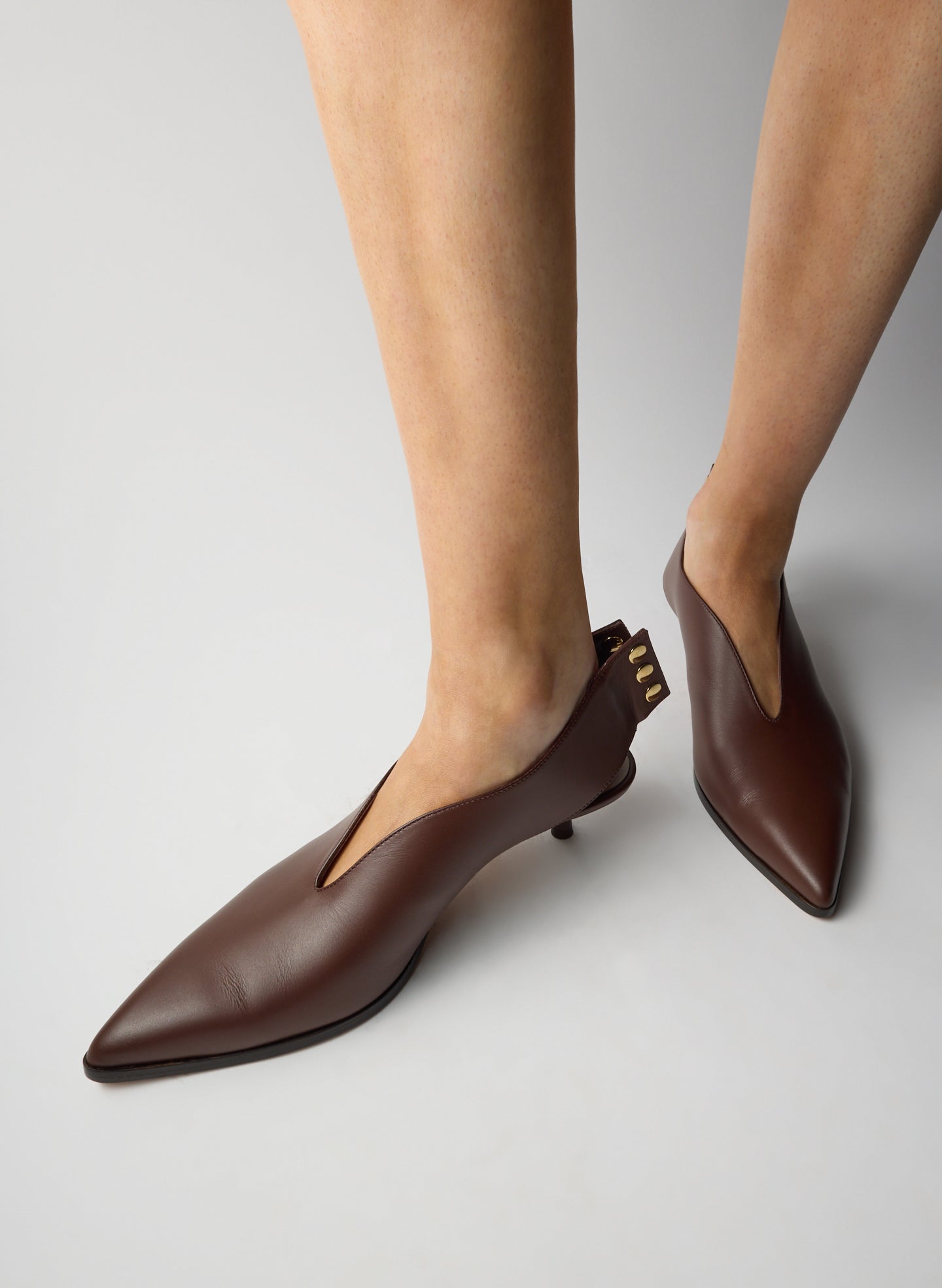 BROWN-2