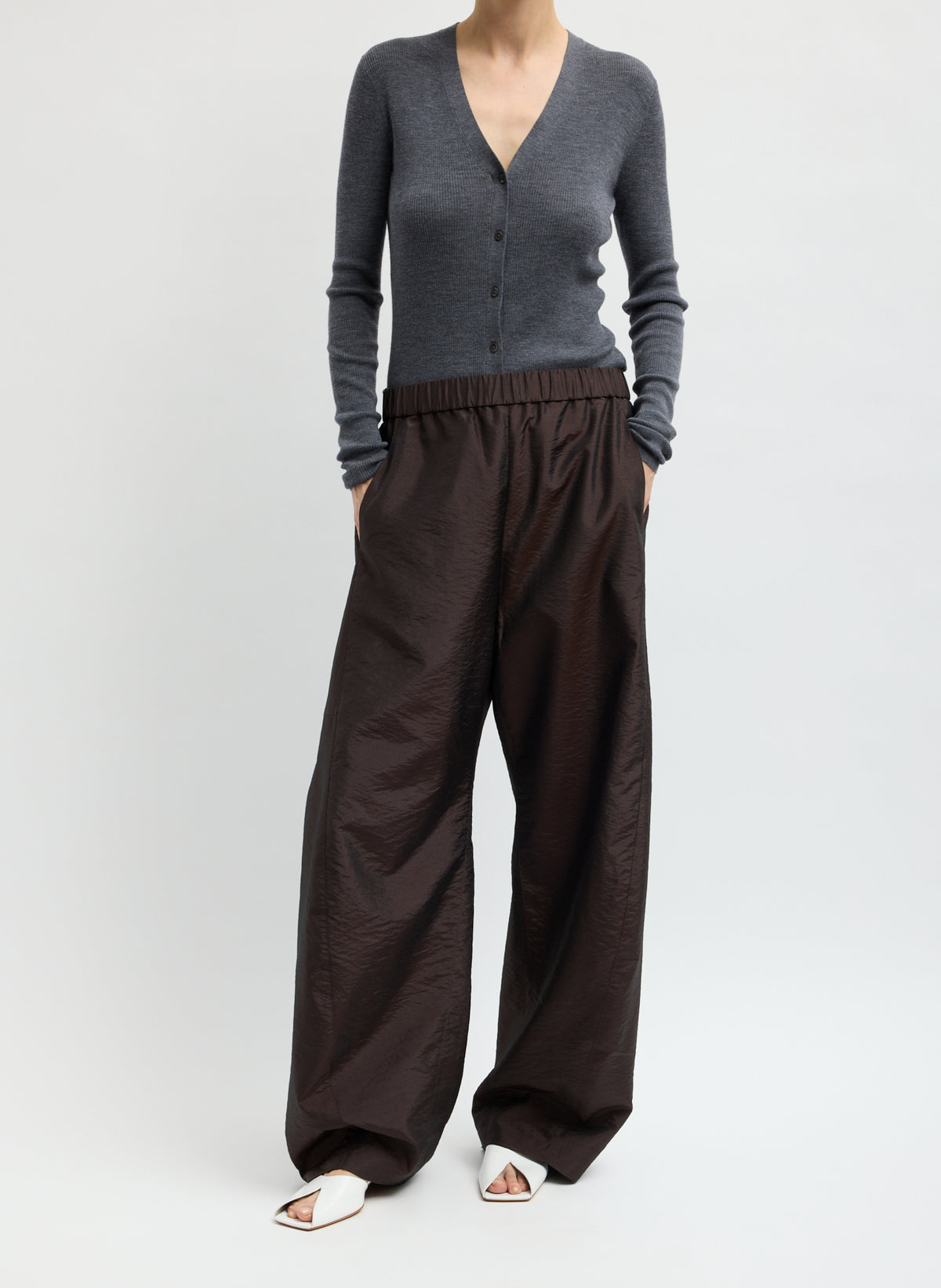 Dark Brown Crispy Nylon Winslow Pant - full look, front view on model