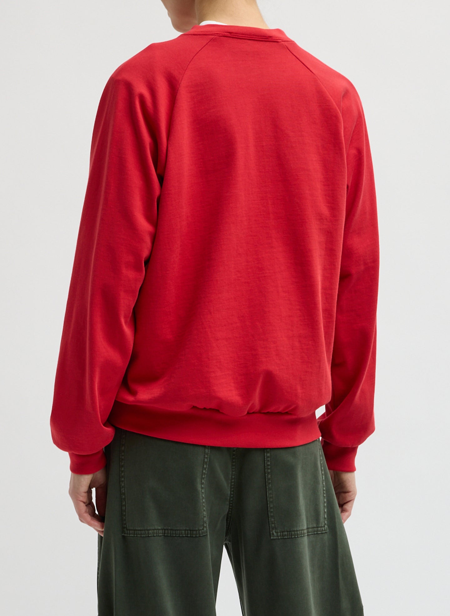 Red Perfect T-Shirt Vintage Sweatshirt - v-neck sweatshirt, back view on model