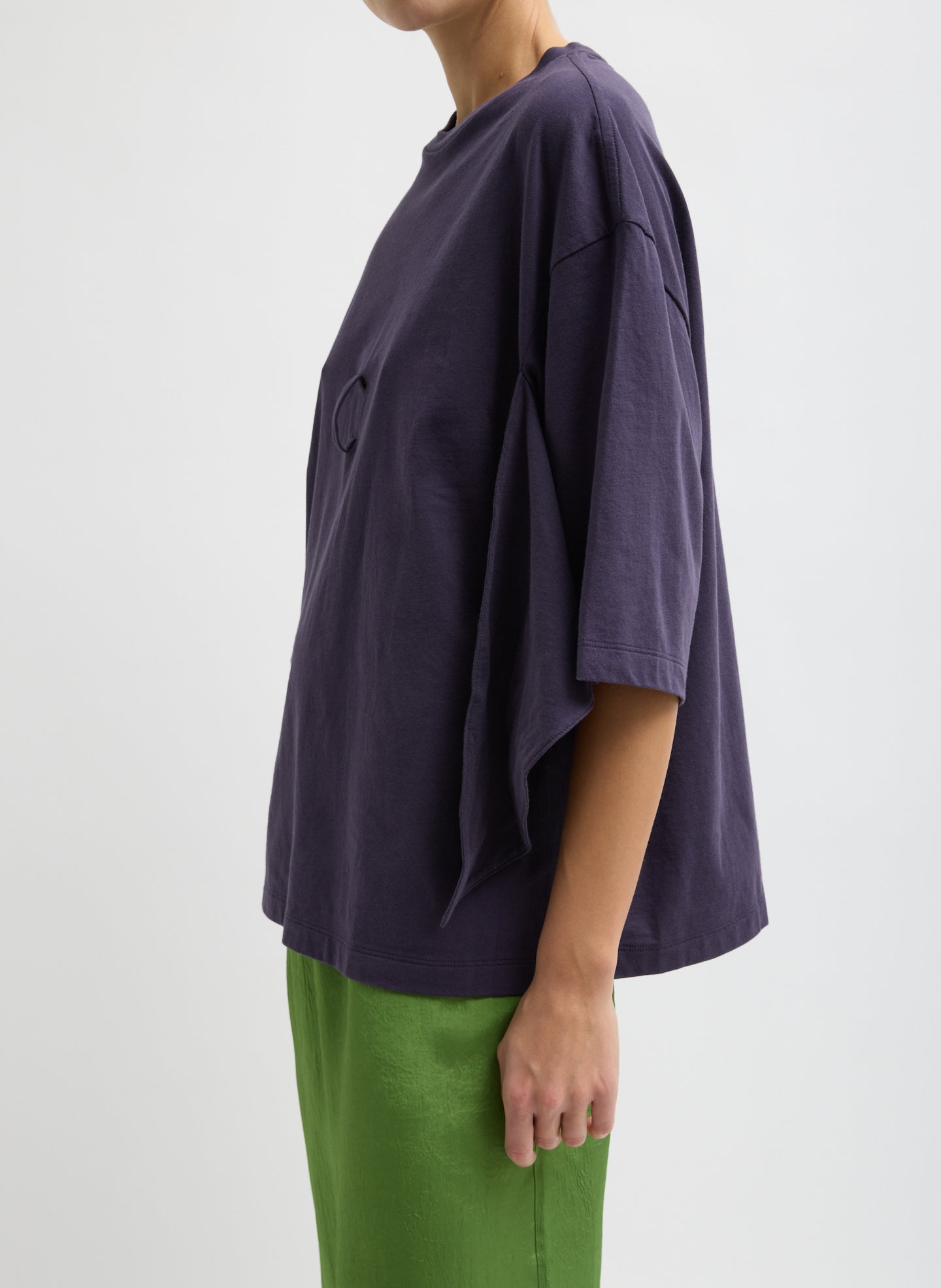 EGGPLANT-2