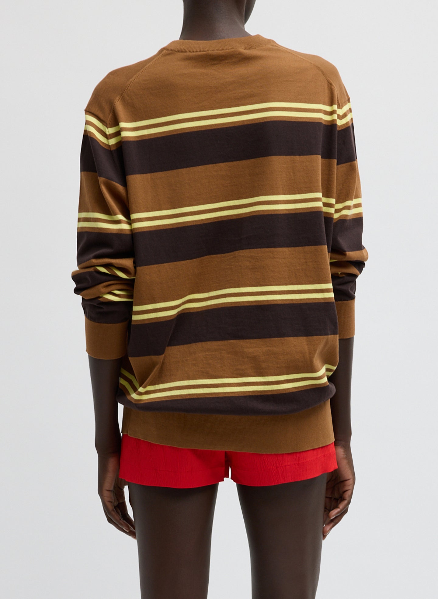 Brown Super Fine Gauge Striped Perfect Crewneck Pullover - long sleeved knit, back view on model