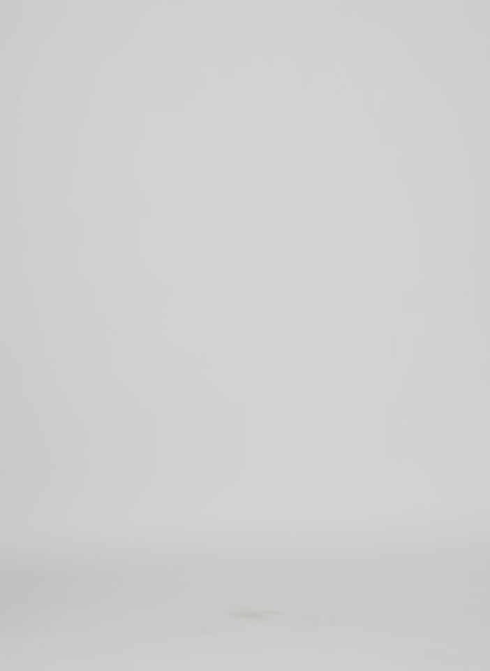 Light Weight Sweatshirting Winslow Pant