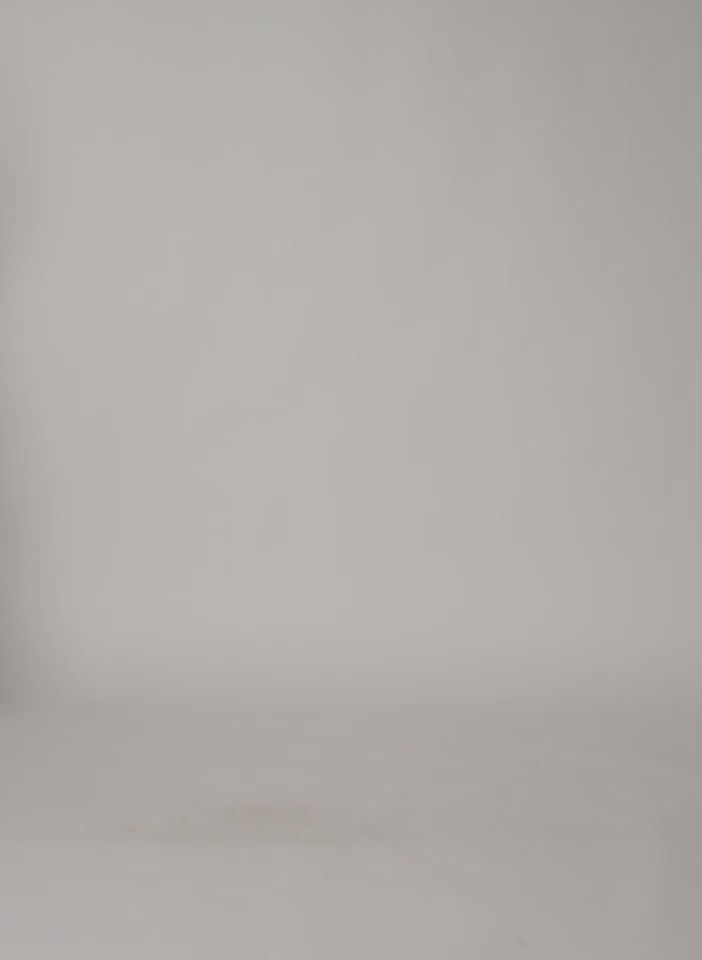 Light Stone Grey Silk Voile Cargo Triple Pleat Pant - video on model