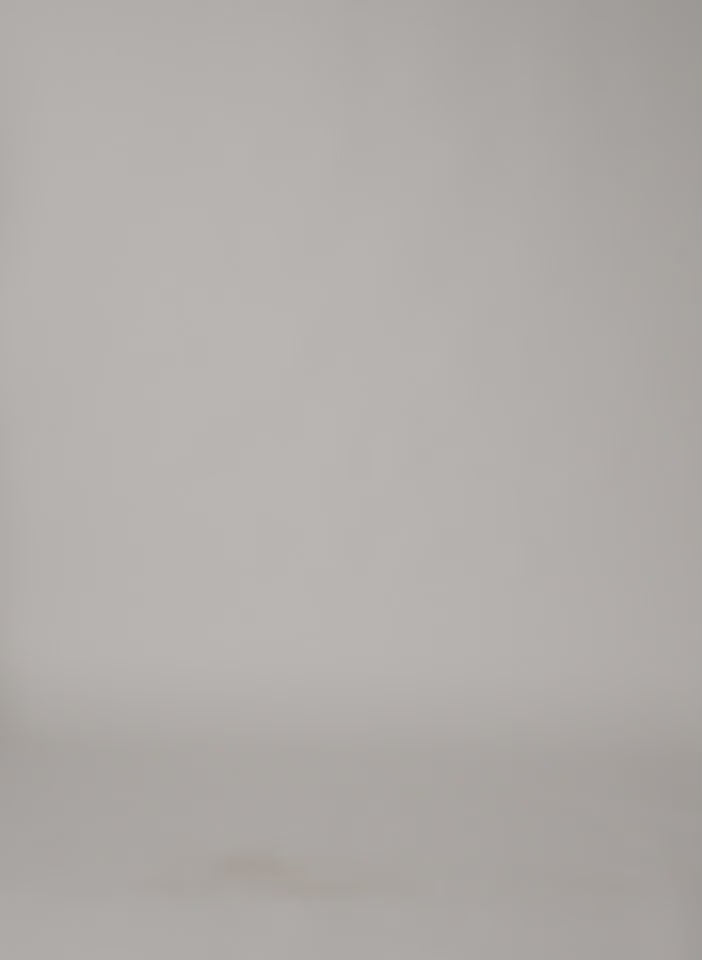 Light Weight Sweatshirting Short Shorts