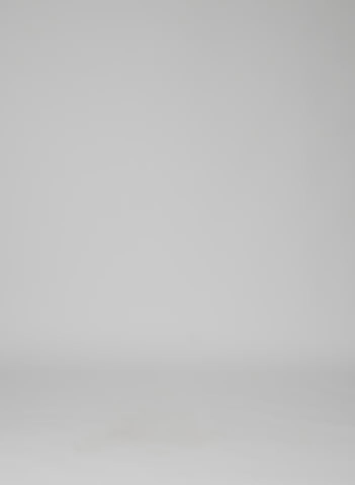Navy Tropical Wool Stella Pant - pleated trouser, video on model