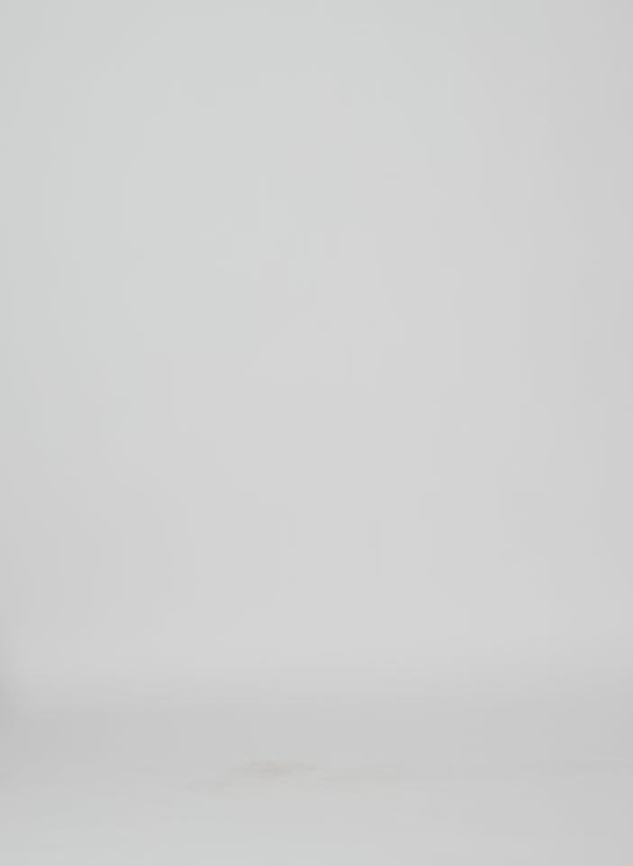 Luxe Shirting Classic Men's Shirt