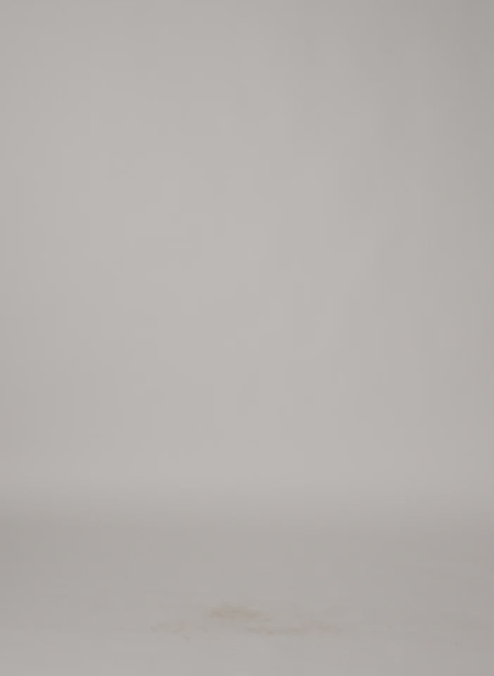 Silk Voile Cargo Triple Pleat Pant