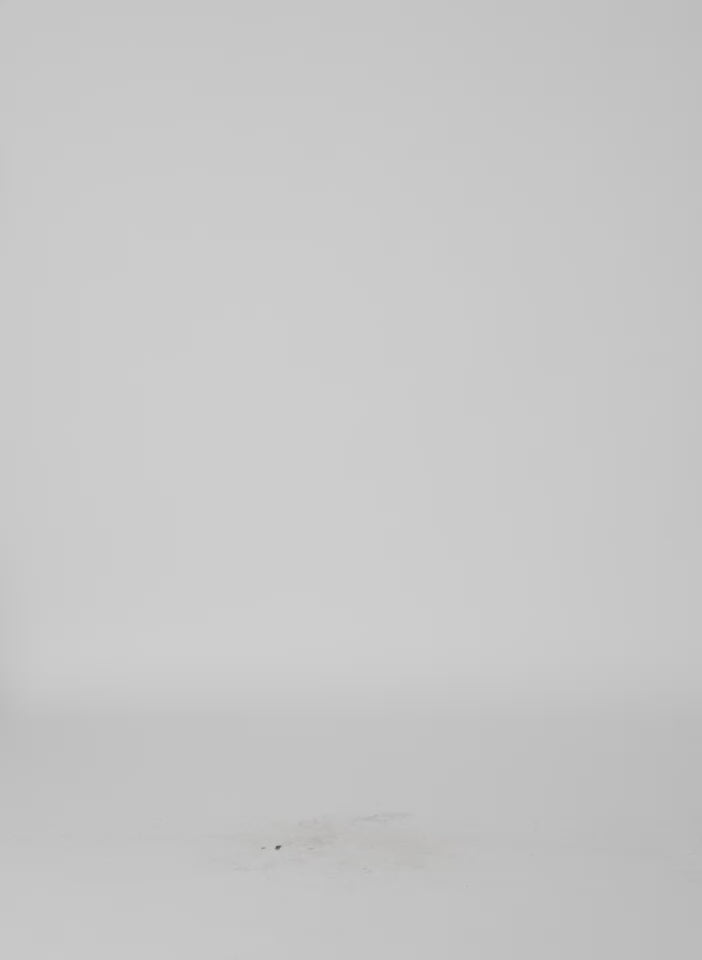 Video of model wearing Taupe Luxe Spring Twill Tucked Pleated Wide Leg Trouser - beige