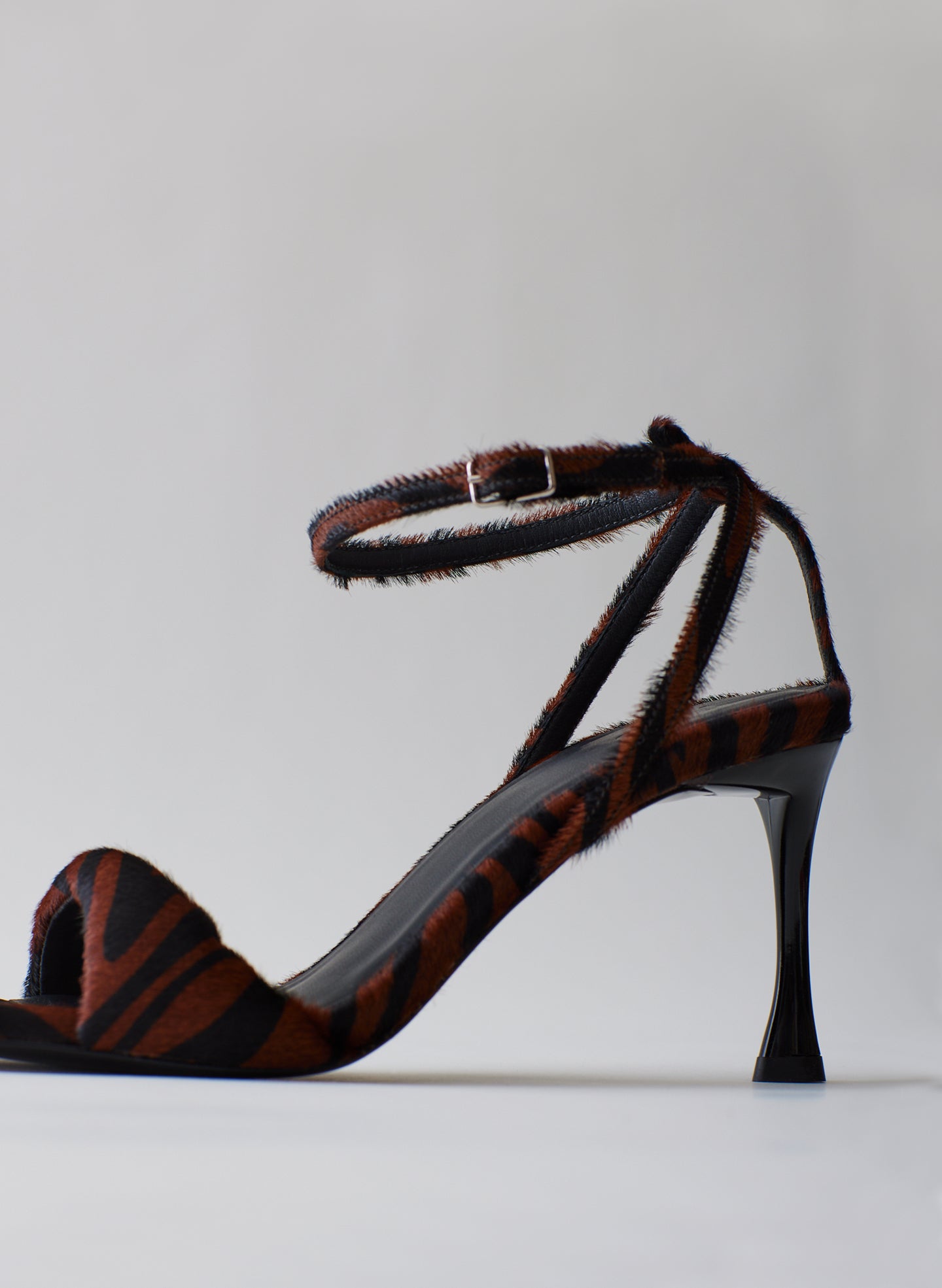 Pony Zebra Print-6