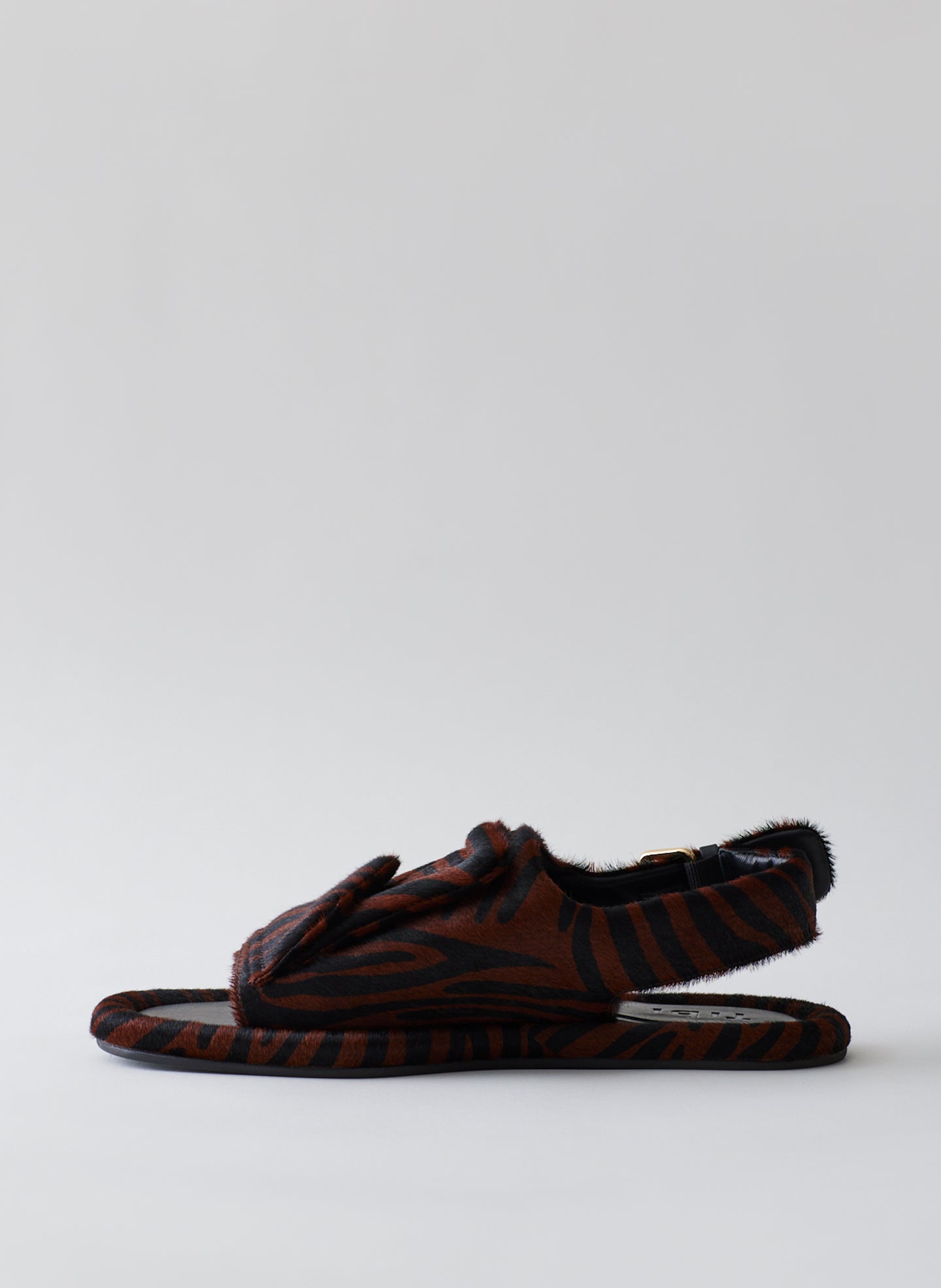 Pony Zebra Print-2