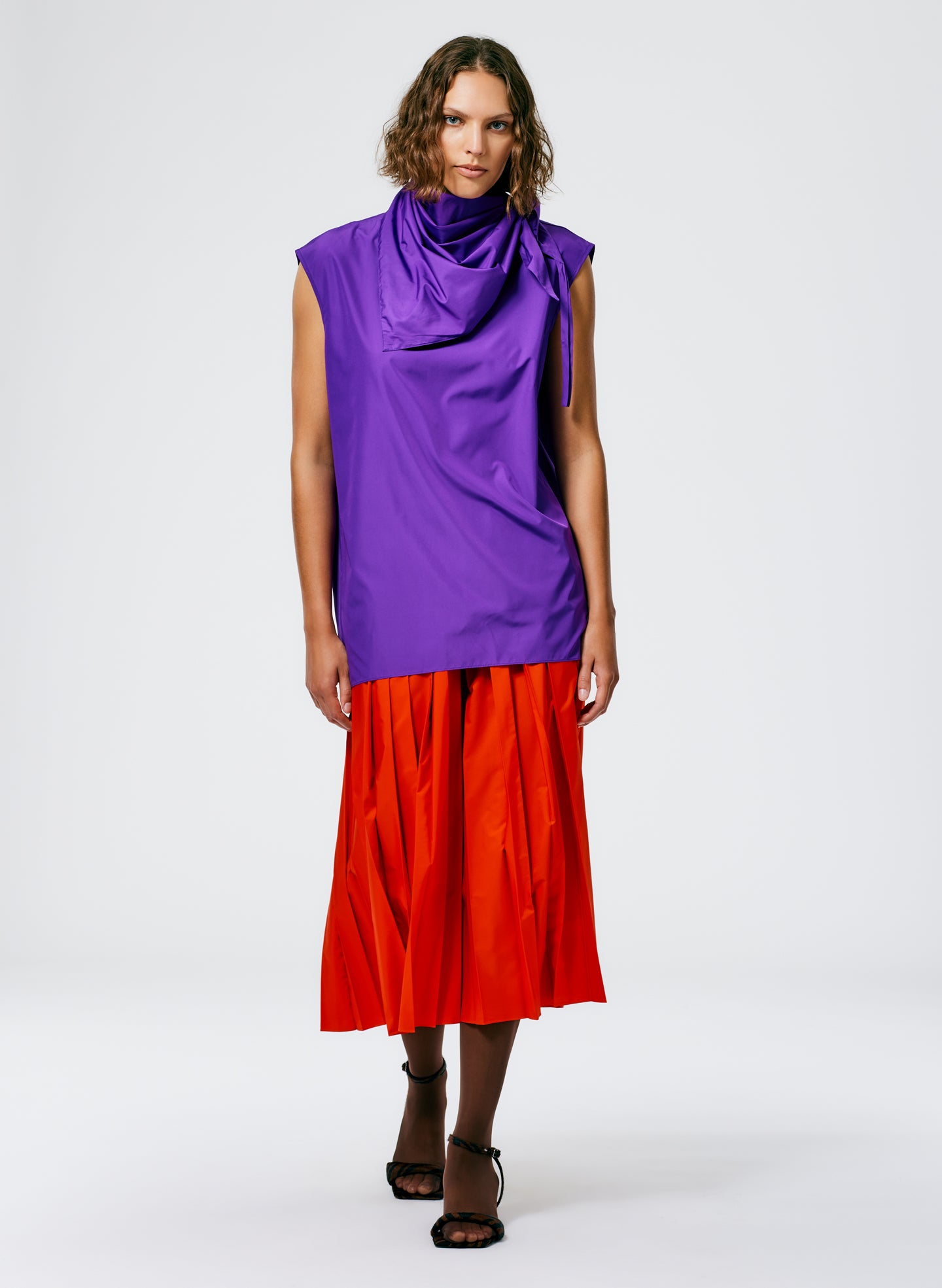 Purple-6