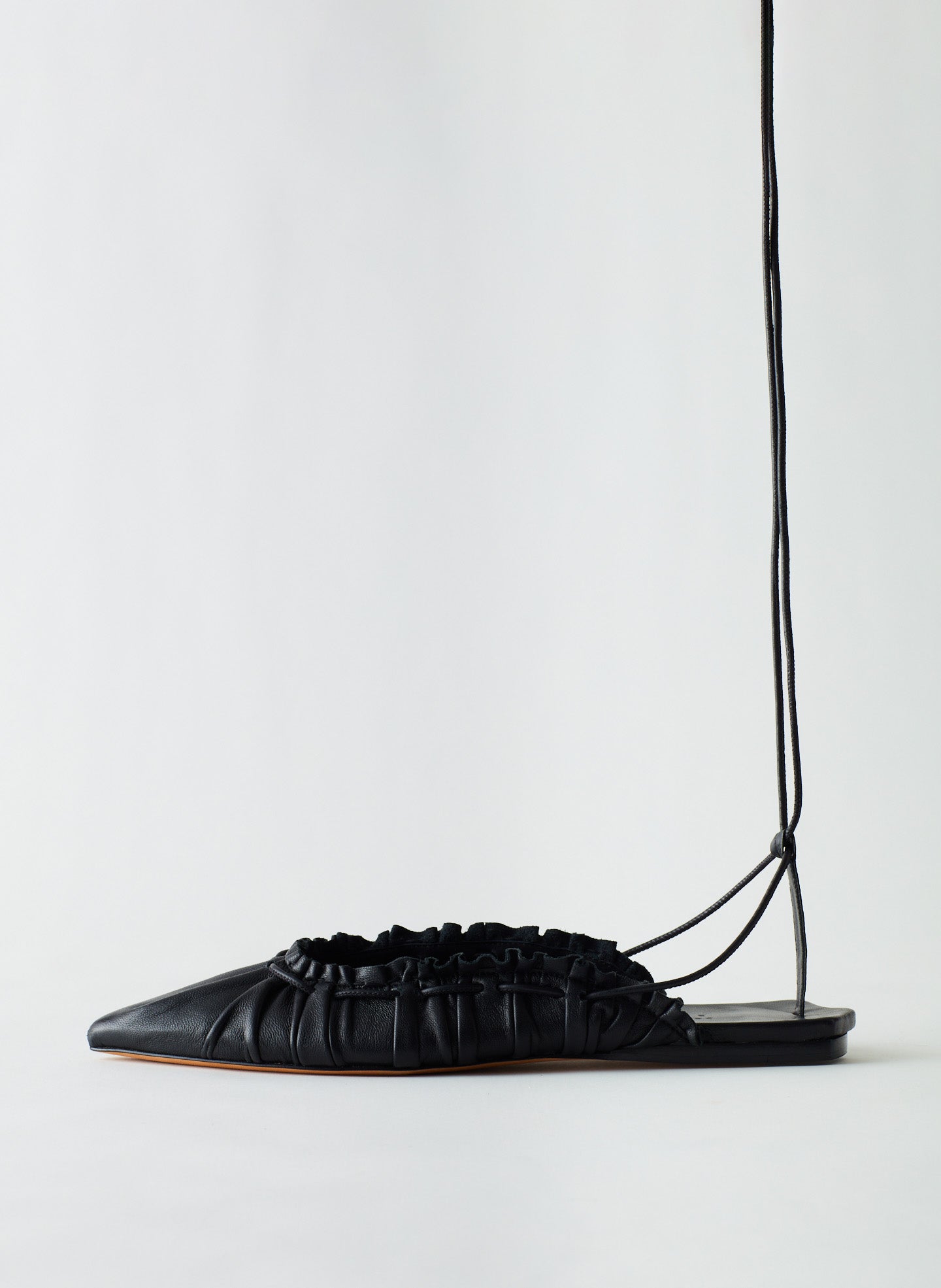 Black-01