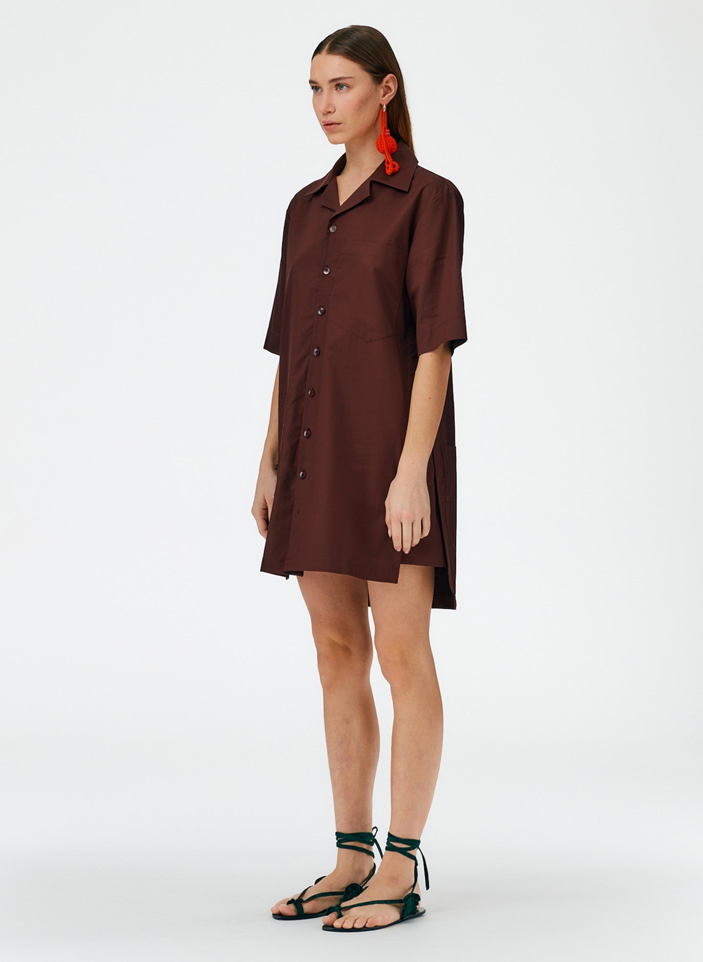 Brown-02