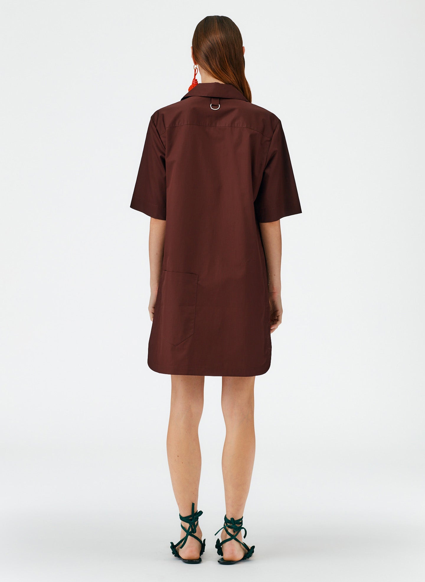Brown-04