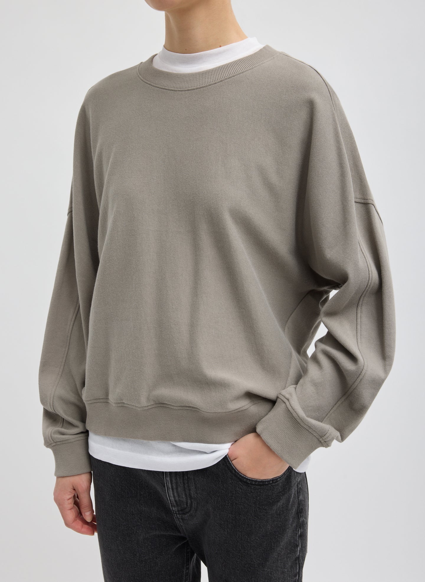 Light Weight Sweatshirting Crewneck Sweatshirt - Dark Stone Light Weight Sweatshirting Crewneck Sweatshirt - front view on model