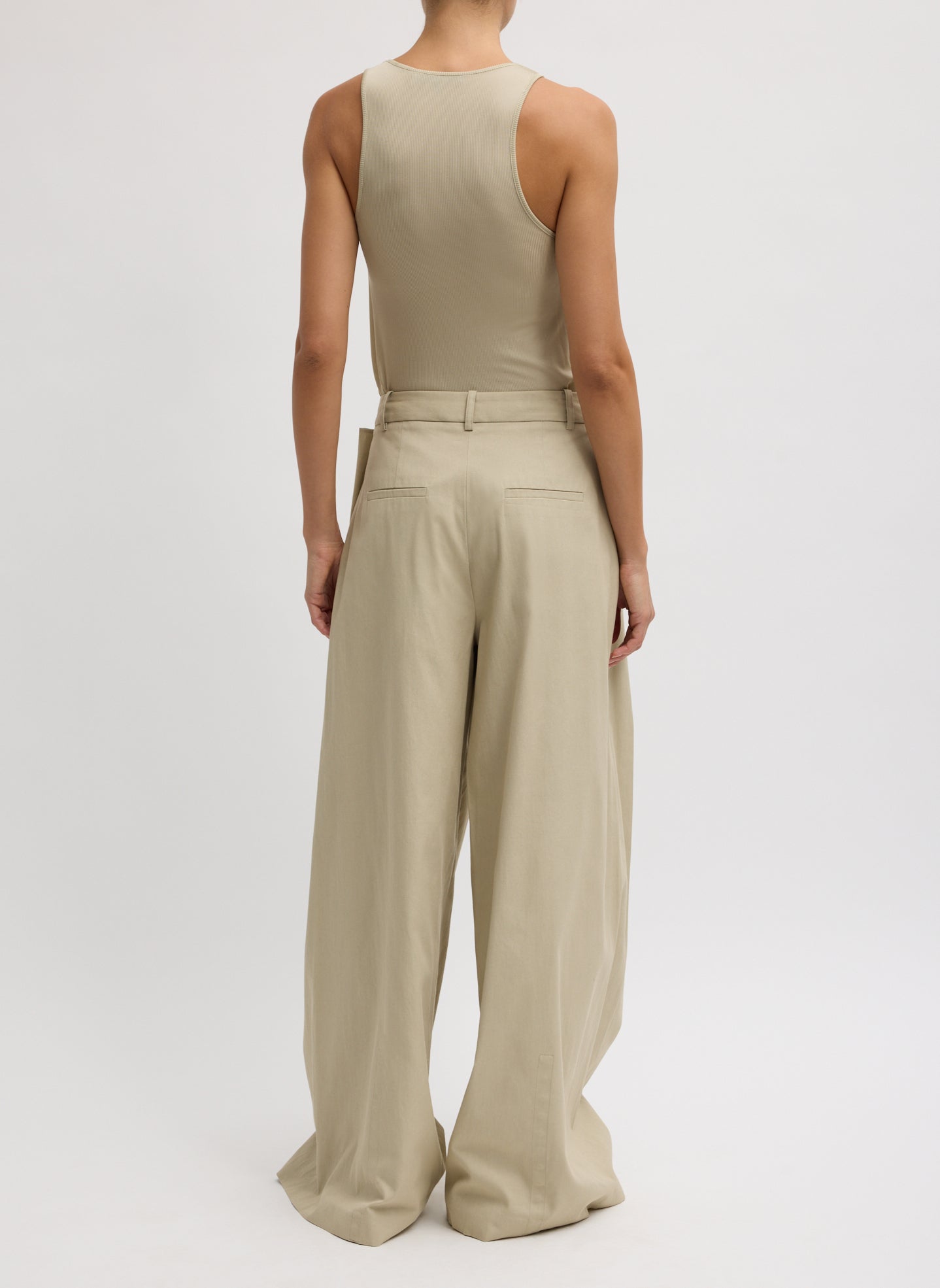 Taupe Luxe Spring Twill Tucked Pleated Wide Leg Trouser - beige, full look, back view on model