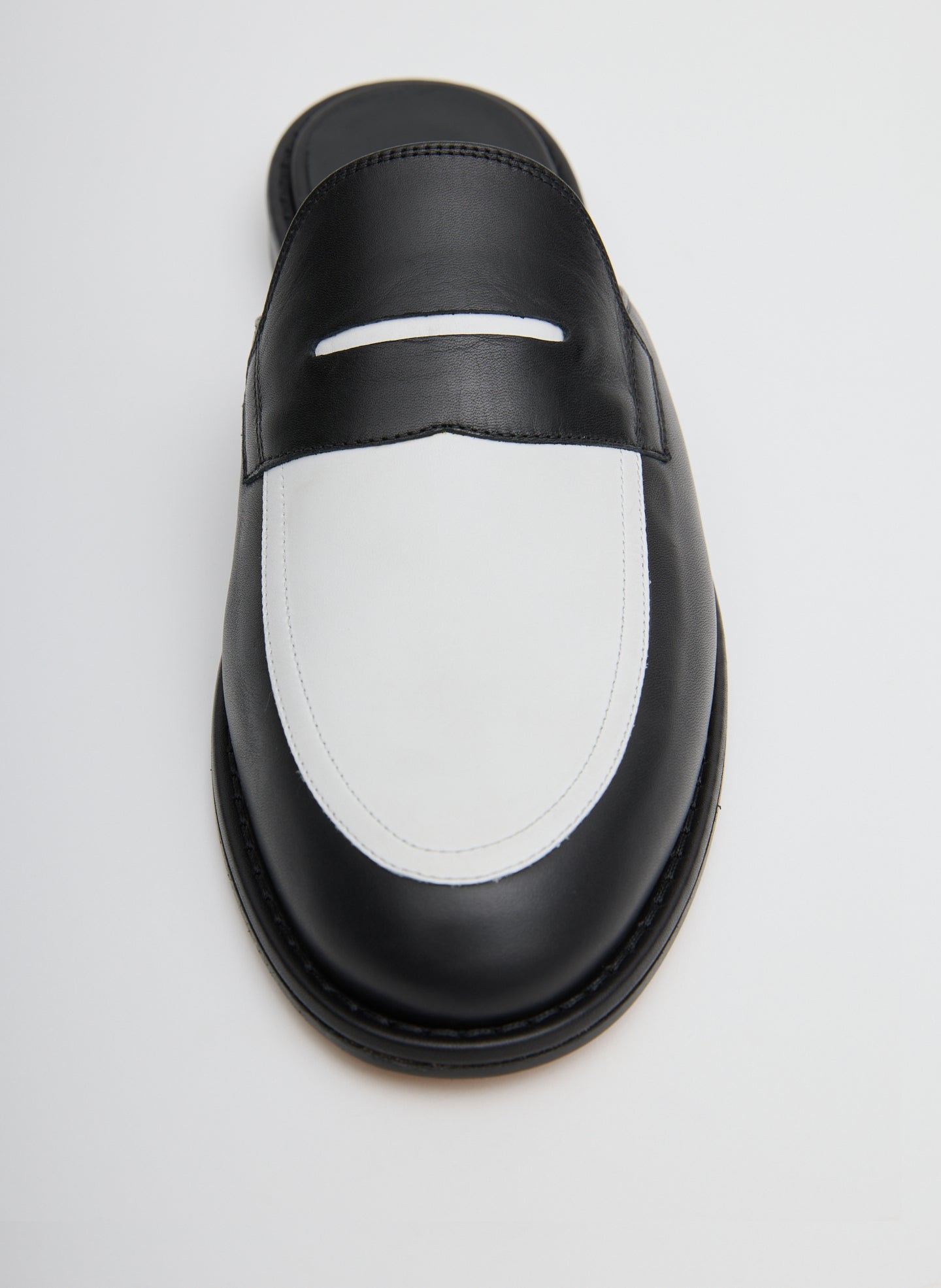 Black and White Herbert Slide - closeup shot