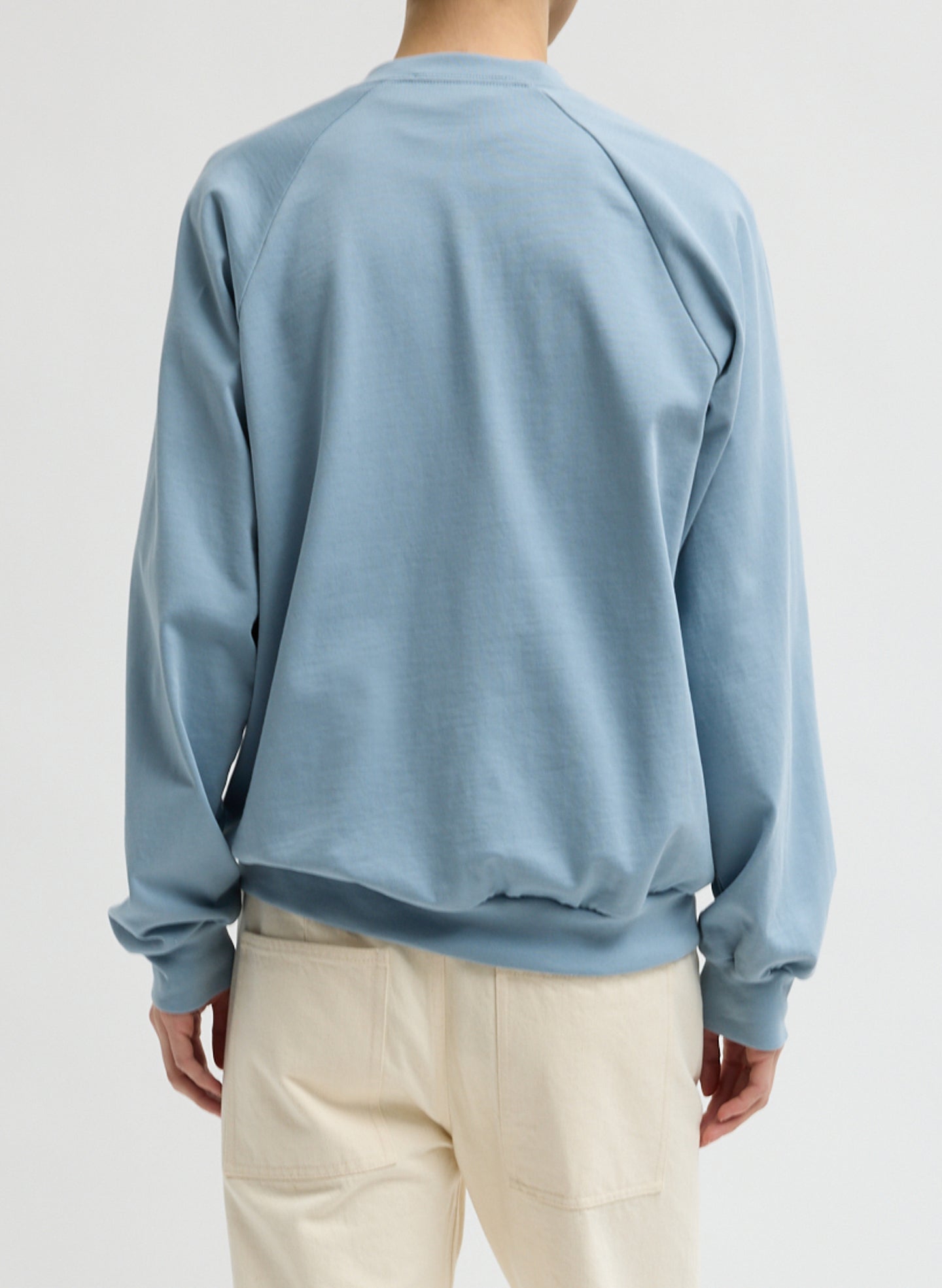Light Blue Perfect T-Shirt Vintage Sweatshirt - v-neck sweatshirt, back view on model