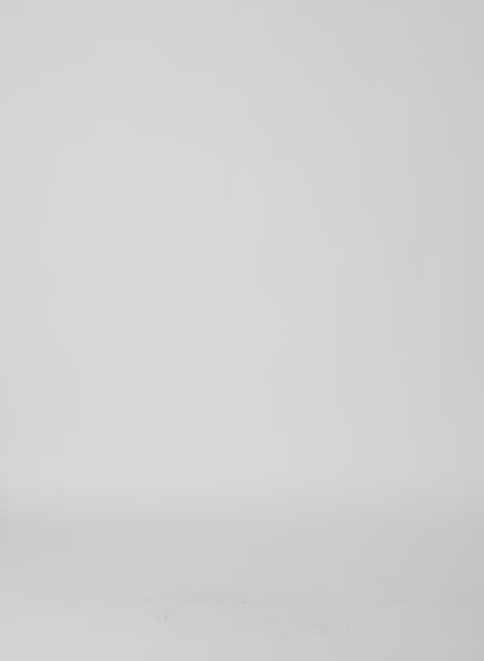 Silver Viscose Metallic Ribbed Tank - sheer mesh tank, video on model