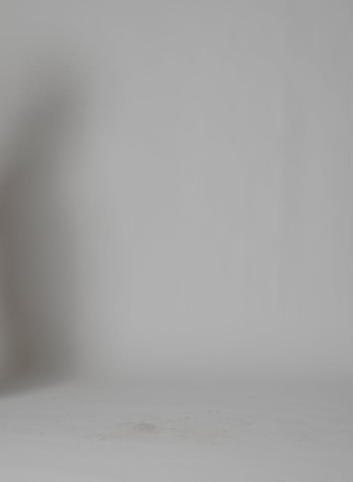 Red Perfect Baseball T-Shirt - oversized two-tone tee, video on model