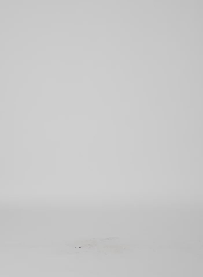 Hickory Brown Luxe Spring Twill Hinged Shirt - long sleeve button down, video on model