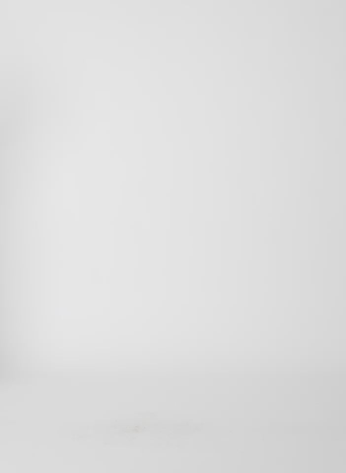 Dune Olive Green Mock Neck Unisex T-Shirt - video on model