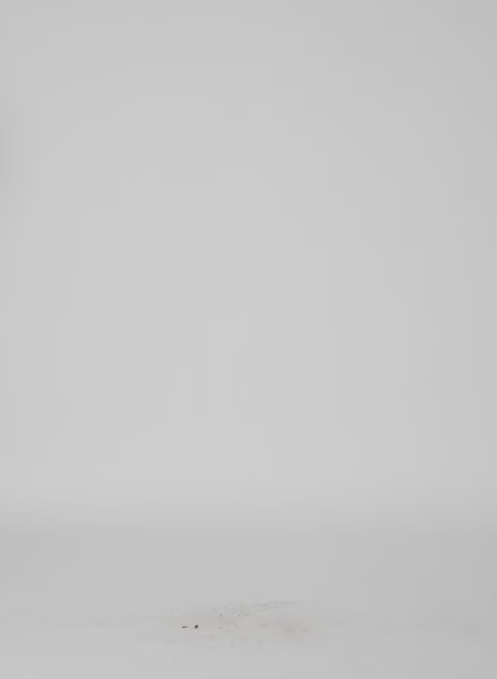 Nori Green Spring Bonded Twill Elfie Trouser With Slits - video on model