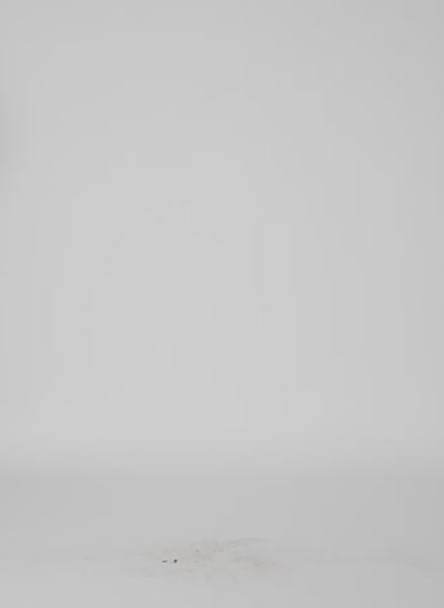 Nori Green Spring Bonded Twill Elfie Trouser With Slits - video on model