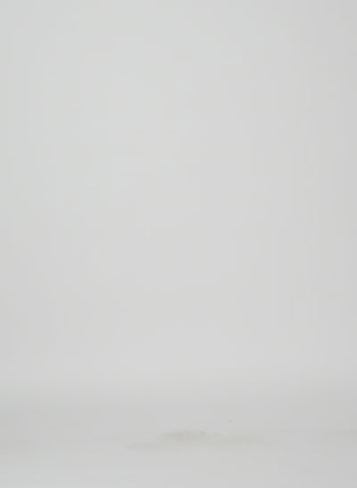 Video of Black Organza Full Skirt - full look