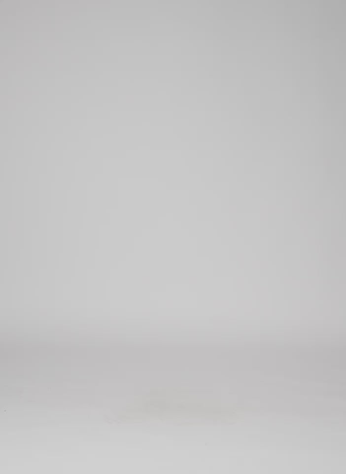 WHITE-2