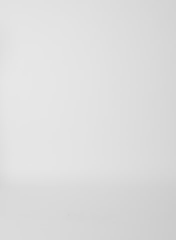 Ultra Light Silk Tencel Striped Funnel Neck Shirt - long sleeve, video on model