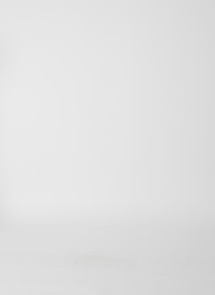 Cedar Melange Tropical Wool Scottie Jogger - video on model