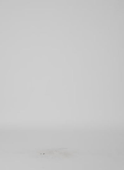 White Patchwork Twill Cargo Fischer Jean - video on model