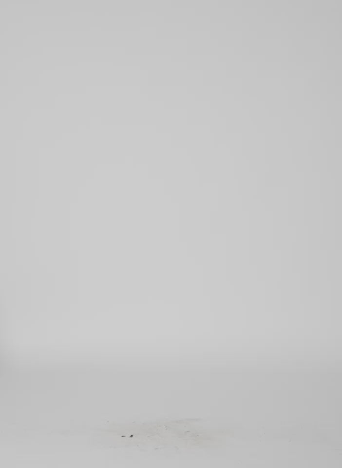 Video of Navy Double Collar Frank Trench - trench coat 