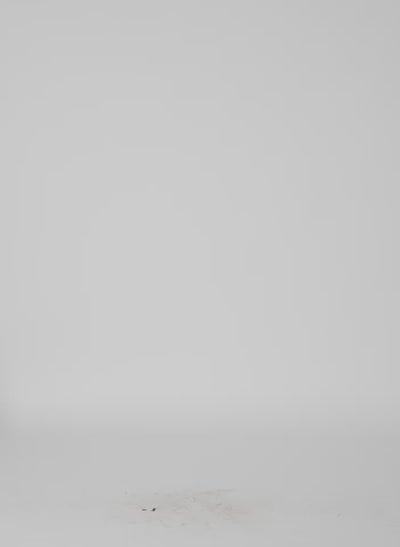 Video of Navy Double Collar Frank Trench - trench coat 