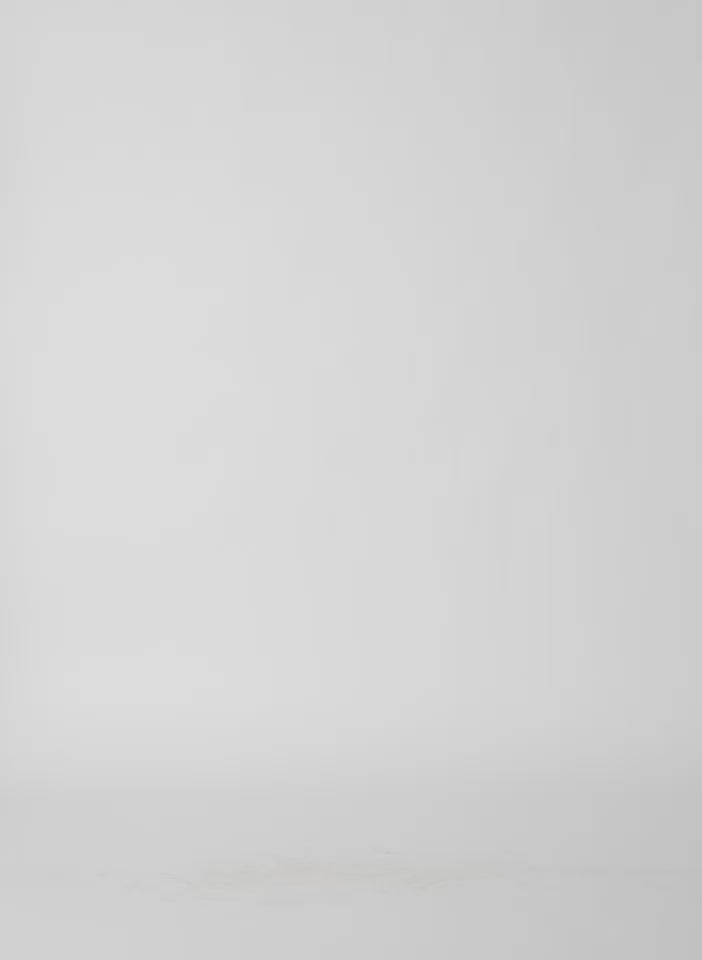 White Light Weight Sweatshirting Polo Collar Sweatshirt - polo sweatshirt, video on model