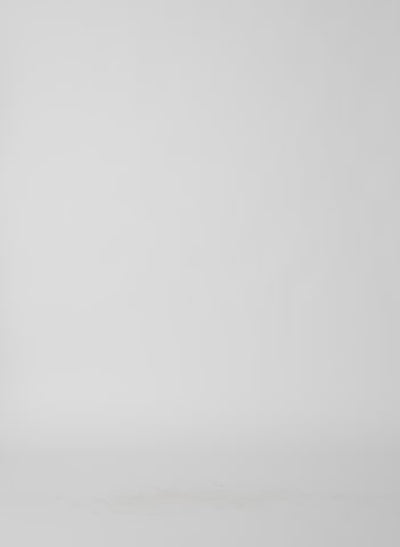 White Light Weight Sweatshirting Polo Collar Sweatshirt - polo sweatshirt, video on model