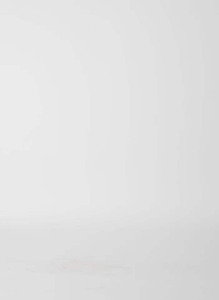 Red Light Weight Sweatshirting Winslow Pant - barrel leg sweatpant, video on model