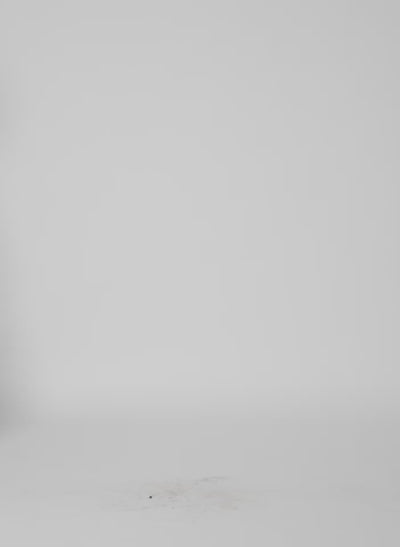 Sepia Brown Compact Eco Poplin Cropped Square Top - video on model