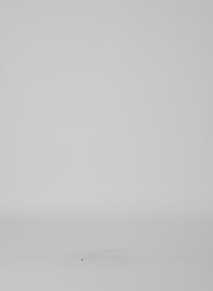 Hickory Brown Ribbed Crewneck - long sleeve, thin knit, video on model