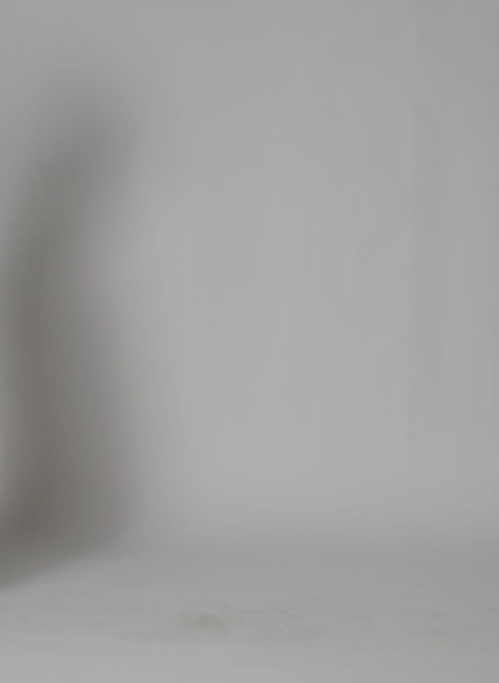 Silver Viscose Metallic Mesh Easy T-Shirt - mesh tee, video on model