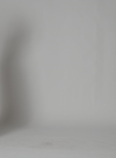 Silver Viscose Metallic Mesh Easy T-Shirt - mesh tee, video on model