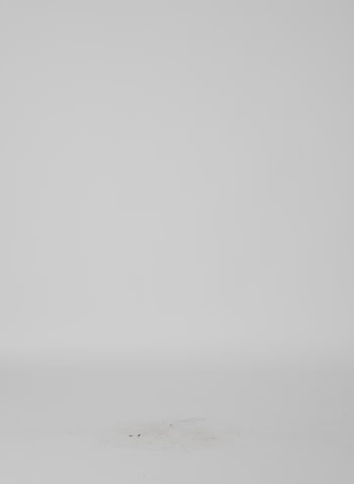 Hickory Brown Luxe Spring Twill Tucked Pleat Skirt - video on model