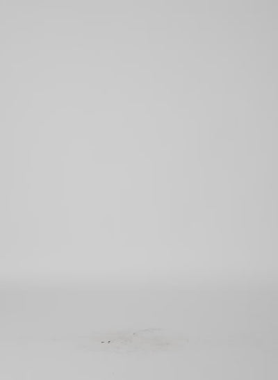 Hickory Brown Luxe Spring Twill Tucked Pleat Skirt - video on model