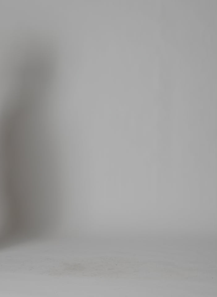 Brown Leather Moto Bomber - video on model