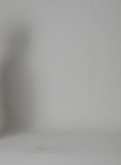 Brown Leather Moto Bomber - video on model